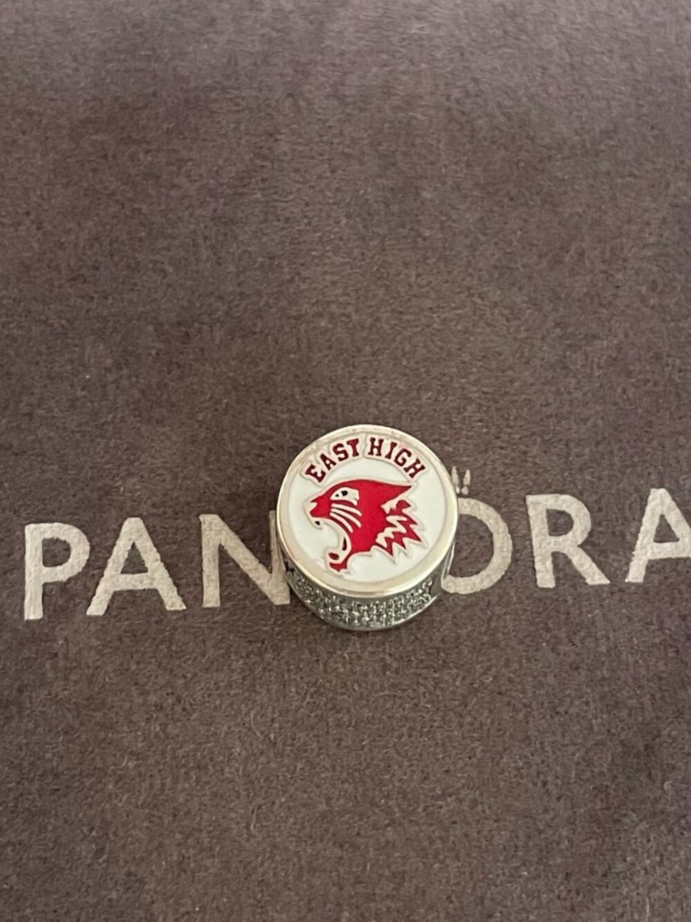 Pandora High School Musical East High New Mexico State Exclusive Charm